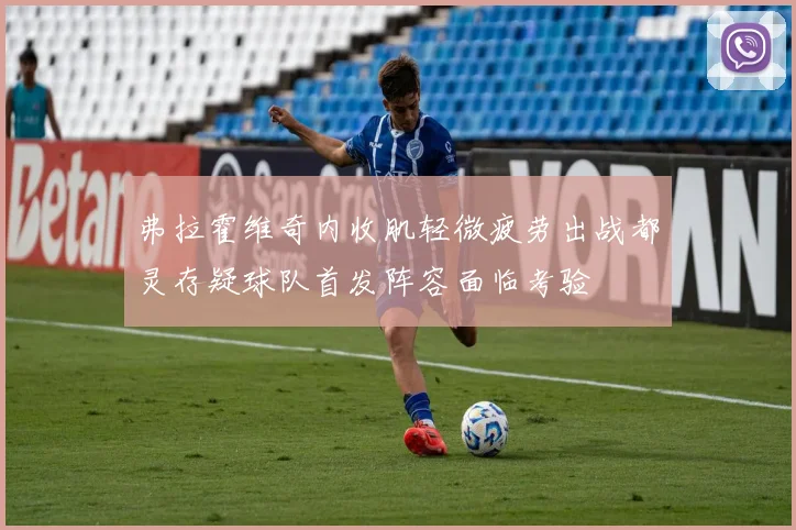 弗拉霍维奇内收肌轻微疲劳出战都灵存疑球队首发阵容面临考验
